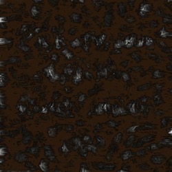 image from _ general examples