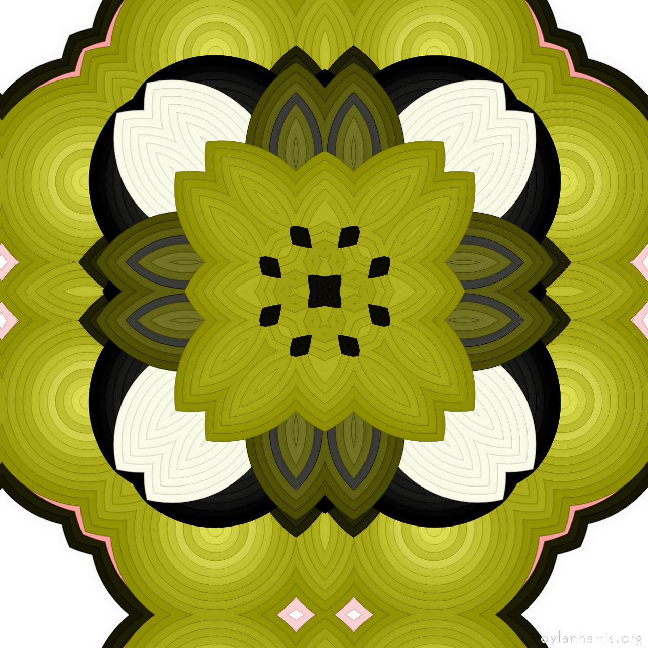 vector shape :: kaleido shaper 5 (repeat action)