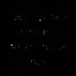 image: image from natural media