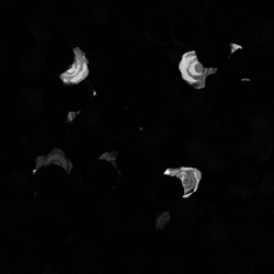 image: image from shapes abstractions textures