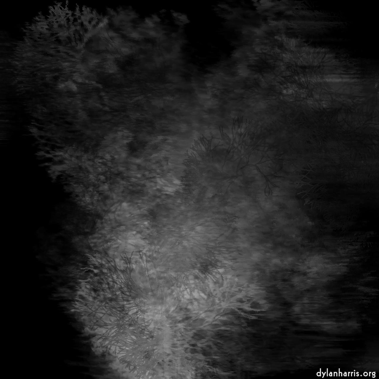 image: abstract shapes - vector :: watercolour branches