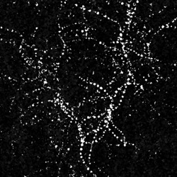 image: image from general examples