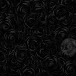 image: image from natural media