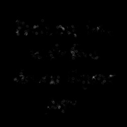 image: image from natural media