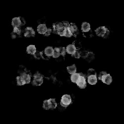 image: image from natural media