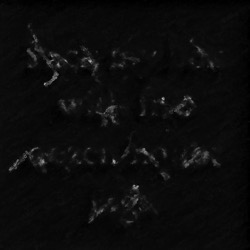 image: image from natural media