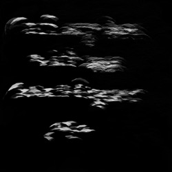 Image: image from region draw manual (use mouse or pen)