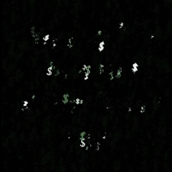 Image: image from text