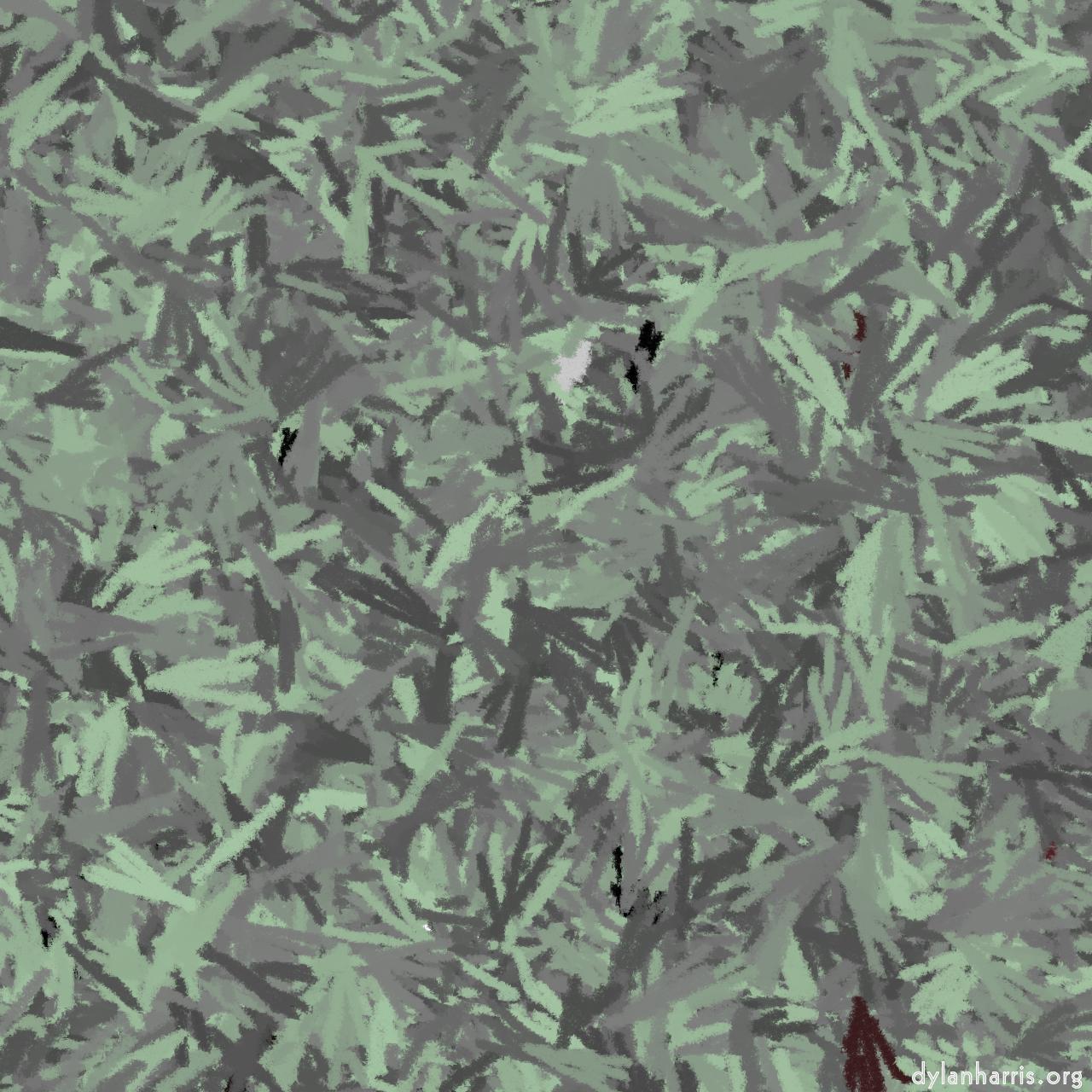 image: vector backgrounds :: random branches