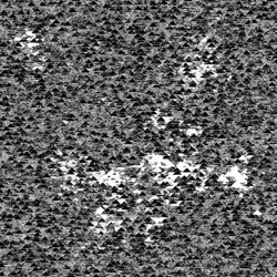 image: image from vector backgrounds