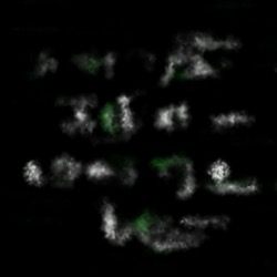 image: image from wets and blends