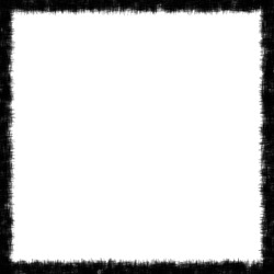 image: image from borders