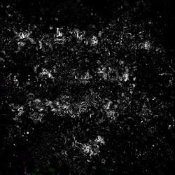 image: image from warp