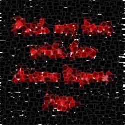 Image: image from image patterns and shapes