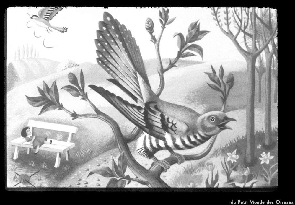 image: This is ‘
le petit monde des oiseaux 1
’.
