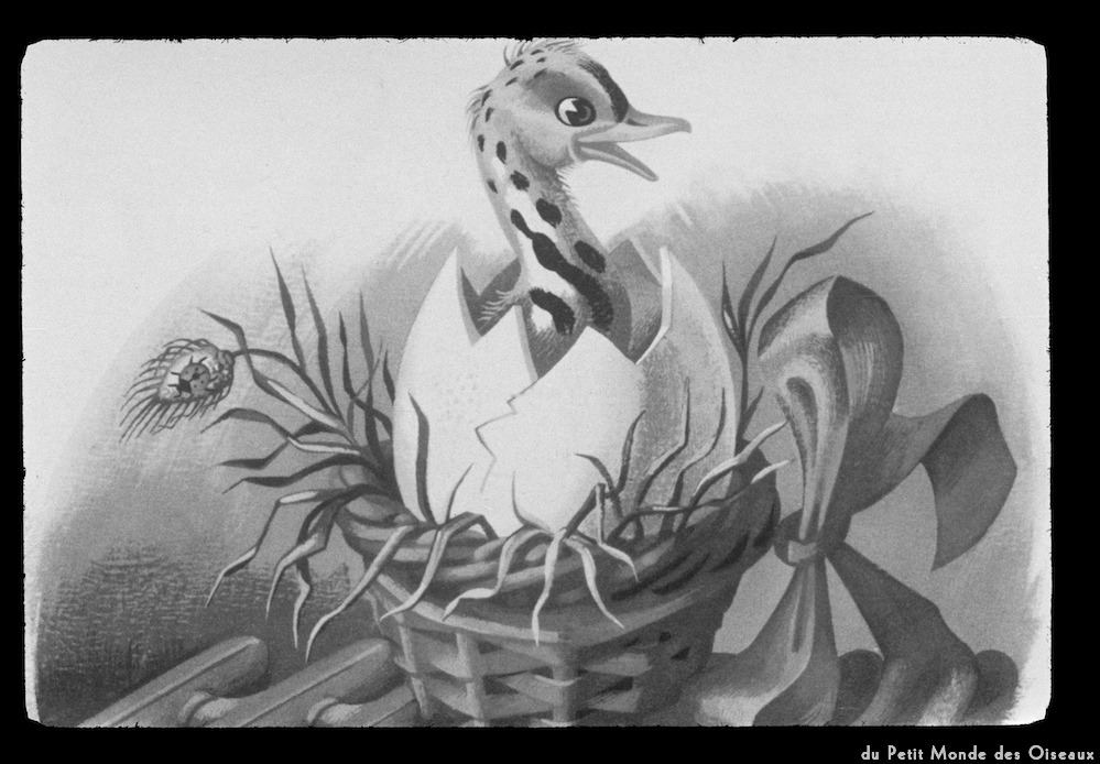 image: Voici ‘le petit monde des oiseaux 10’.