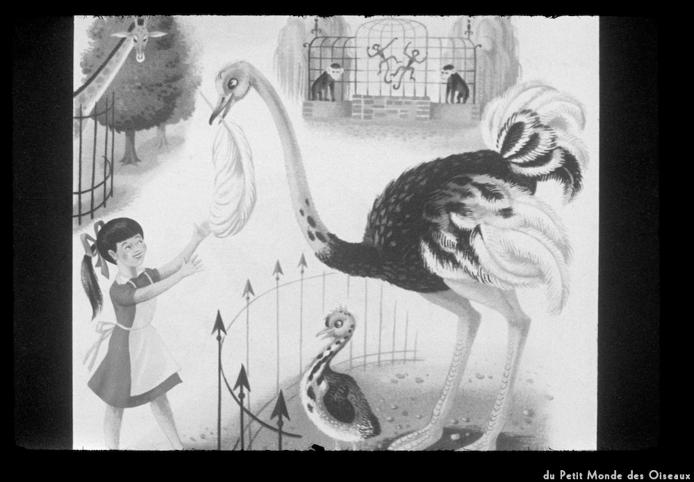 image: Voici ‘le petit monde des oiseaux 11’.
