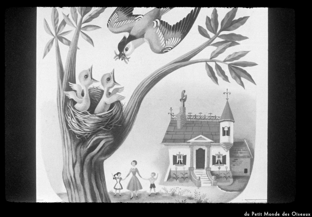 image: This is ‘
le petit monde des oiseaux 12
’.