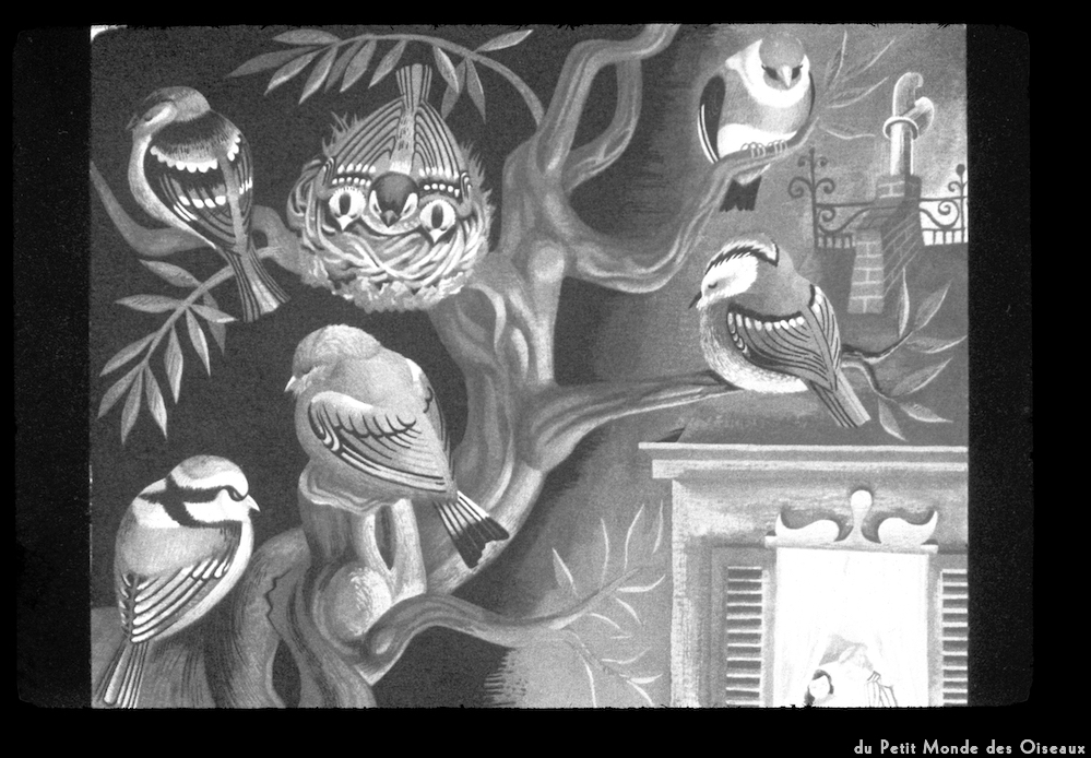 image: This is ‘
le petit monde des oiseaux 3
’.