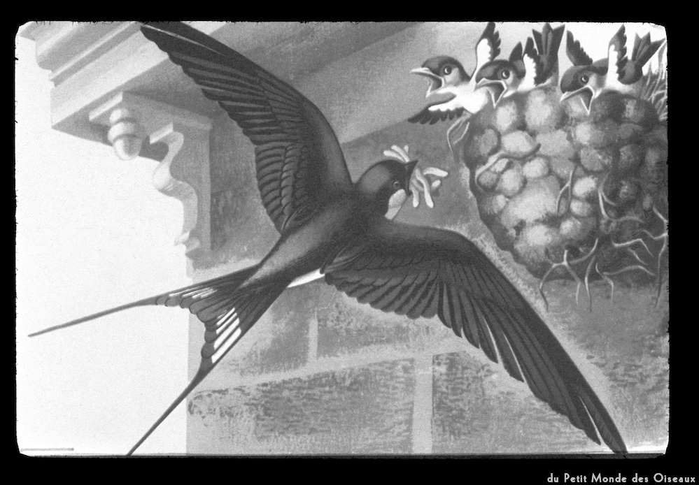 image: Voici ‘le petit monde des oiseaux 4’.