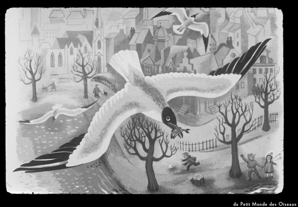 image: This is ‘
le petit monde des oiseaux 7
’.