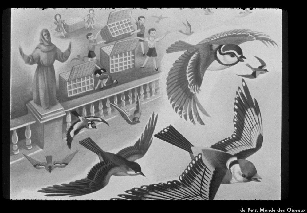 image: Voici ‘le petit monde des oiseaux 8’.