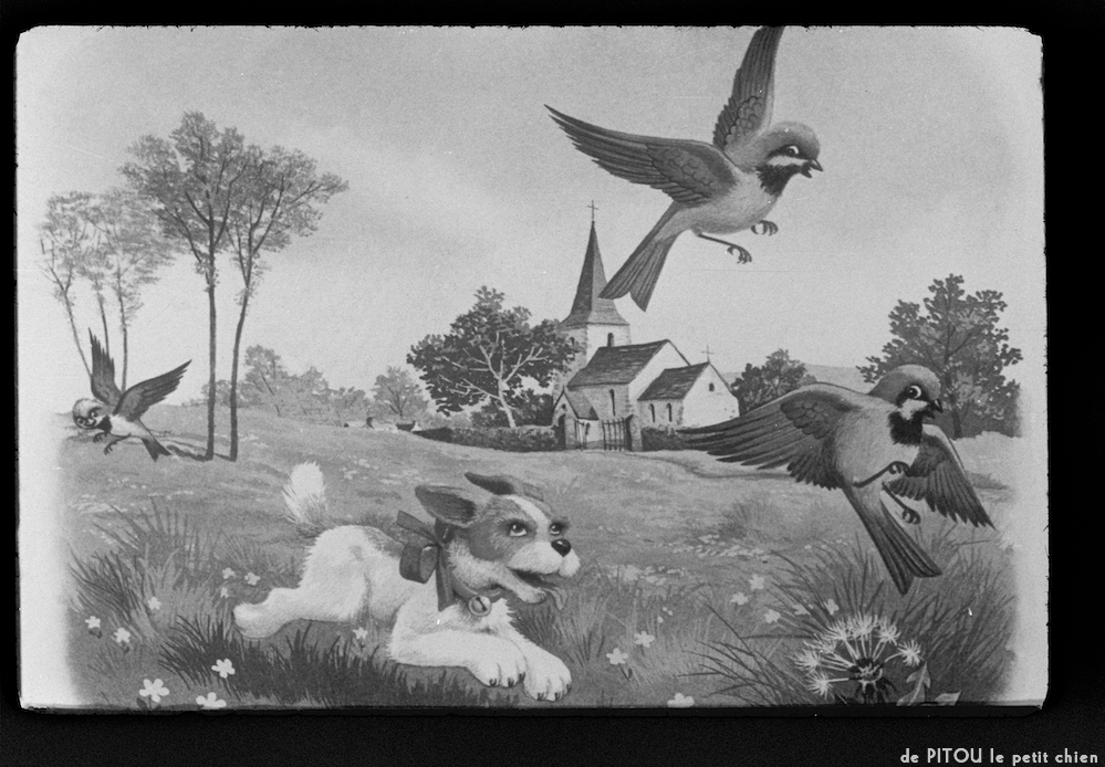 image: This is ‘
pitou le petit chien 1
’.