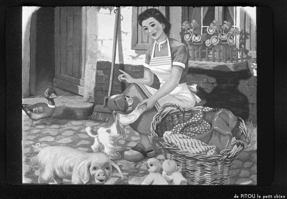 image: This is ‘
pitou le petit chien 10
’.