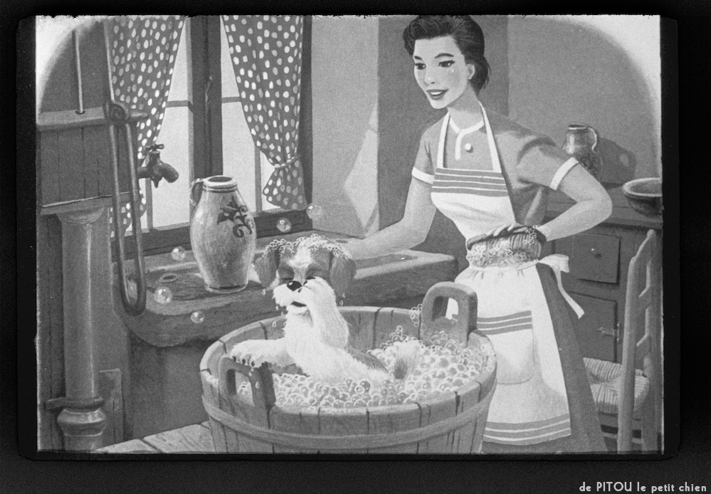 image: This is ‘
pitou le petit chien 11
’.