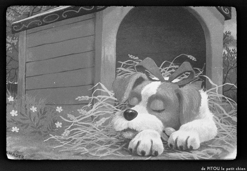 image: This is ‘
pitou le petit chien 12
’.