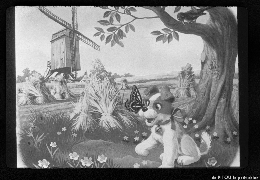 image: This is ‘
pitou le petit chien 2
’.