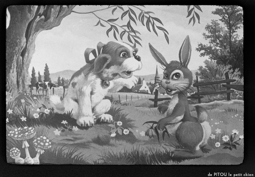 image: This is ‘
pitou le petit chien 3
’.