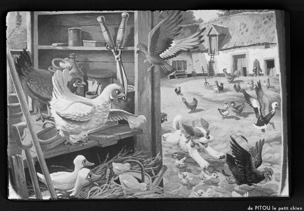 image: This is ‘
pitou le petit chien 5
’.