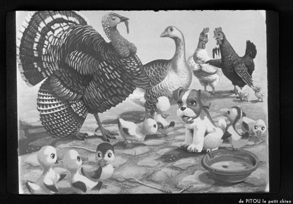 image: This is ‘
pitou le petit chien 6
’.