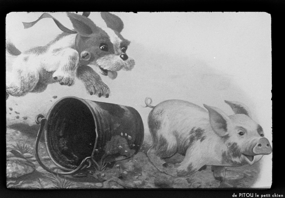 image: This is ‘
pitou le petit chien 9
’.