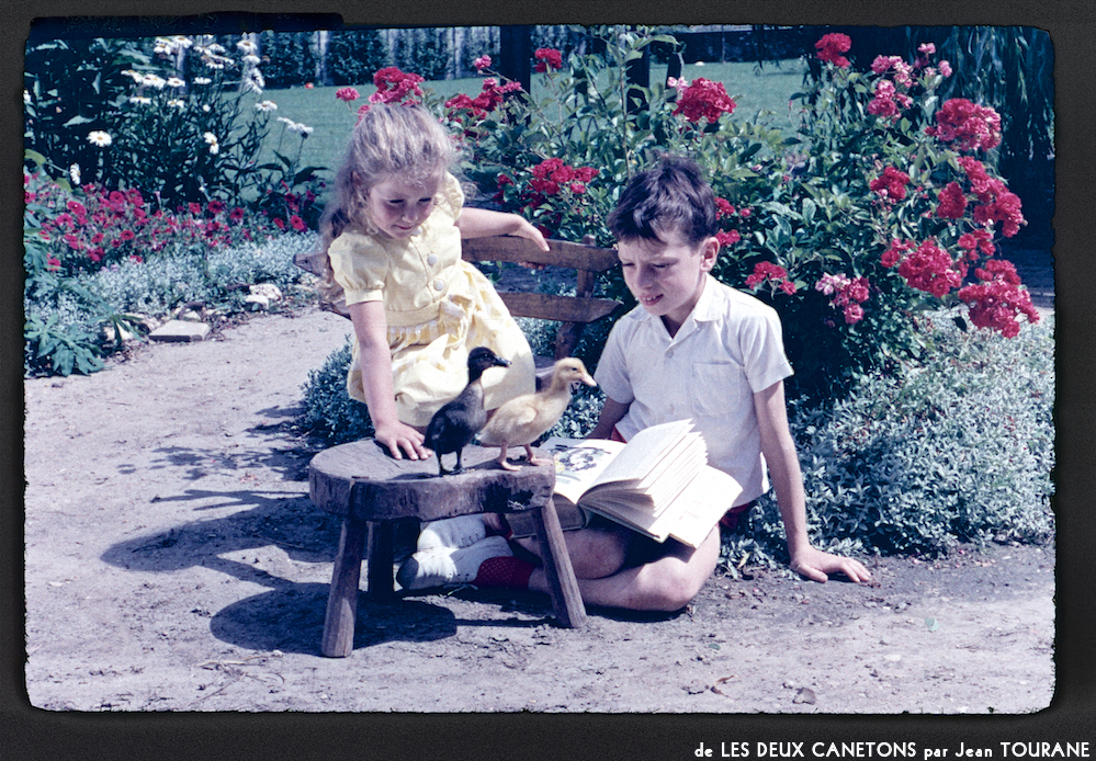 image: This is ‘
les deux canetons 12
’.