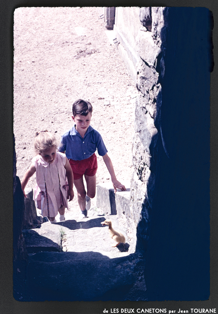 image: This is ‘
les deux canetons 3
’.