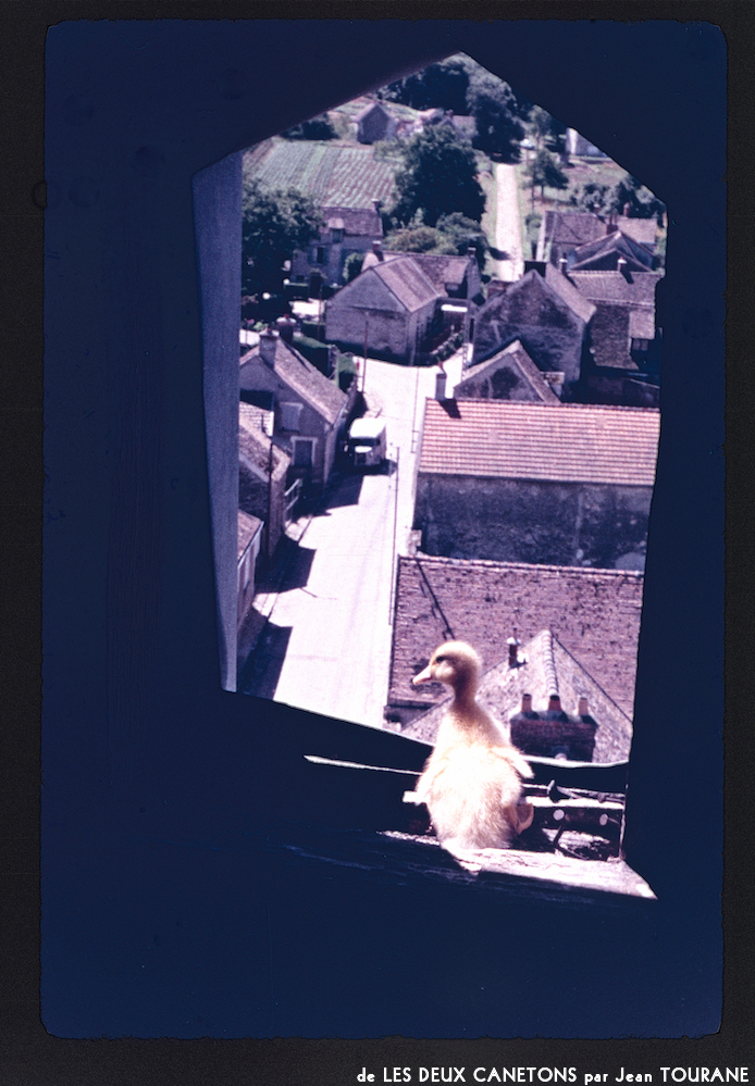 image: This is ‘
les deux canetons 4
’.