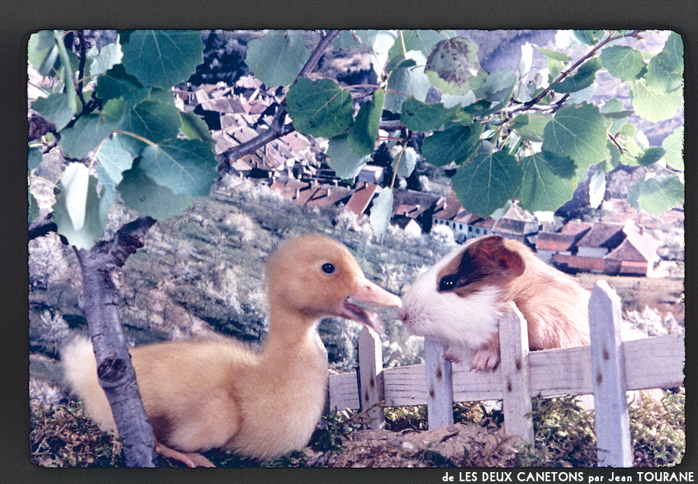 image: This is ‘
les deux canetons 5
’.