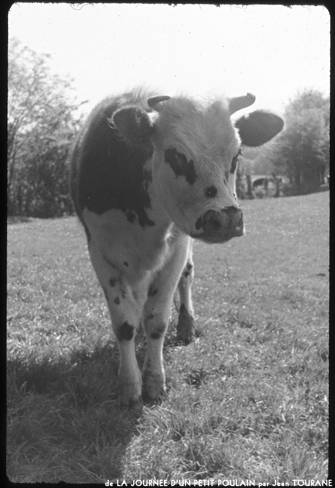 image: This is ‘
la journée d’un petit poulain 6
’.