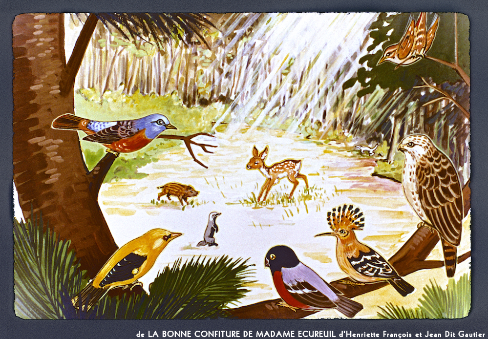 image: Voici ‘la bonne confiture de madame ecureuil 6’.