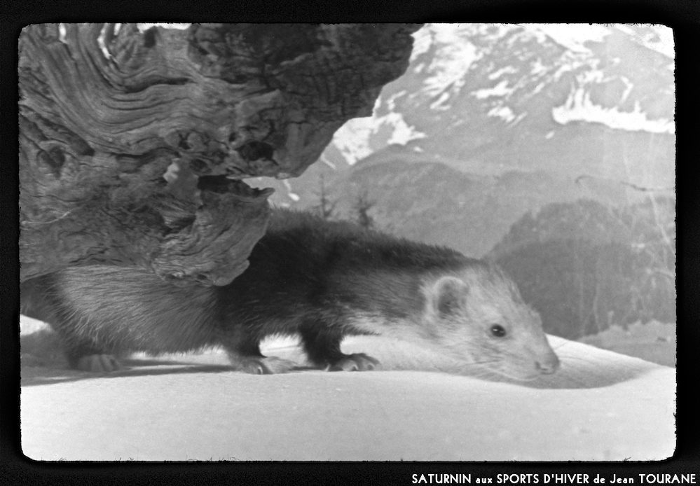 image: This is ‘
saturnin aux sports d’hiver 10
’.
