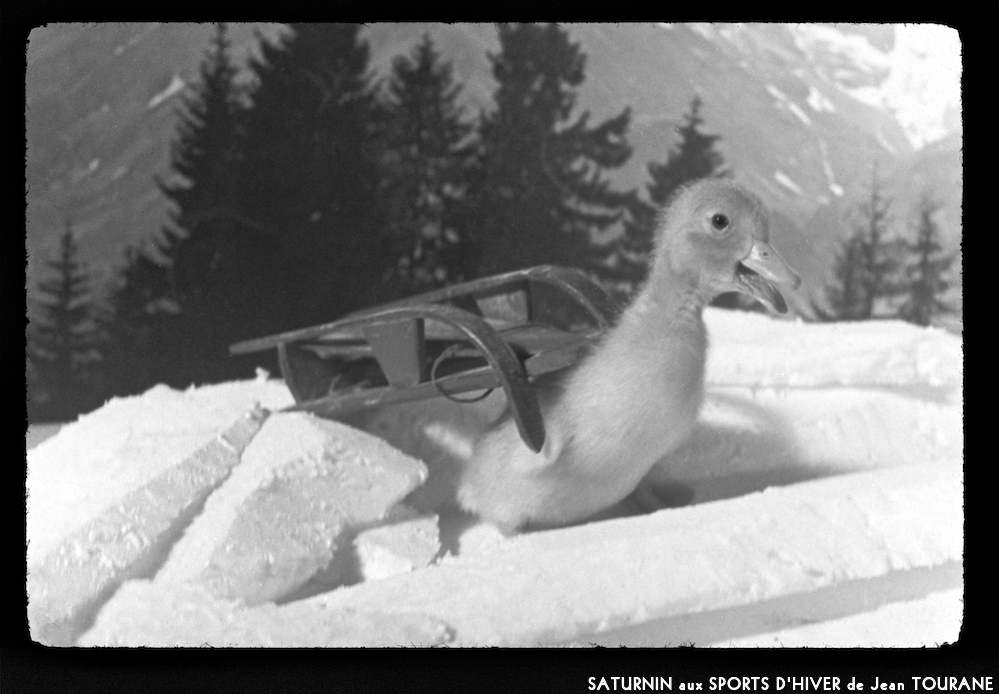 image: This is ‘
saturnin aux sports d’hiver 11
’.