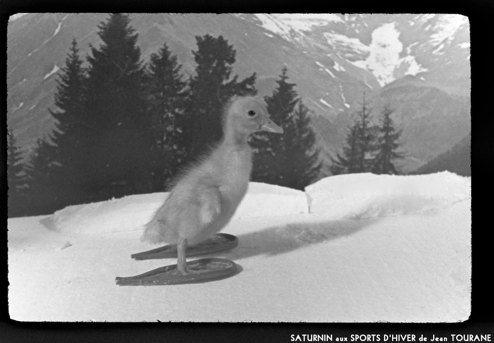 image: This is ‘
saturnin aux sports d’hiver 12
’.