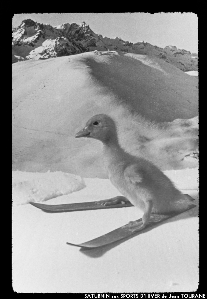 image: Voici ‘saturnin aux sports d’hiver 2’.