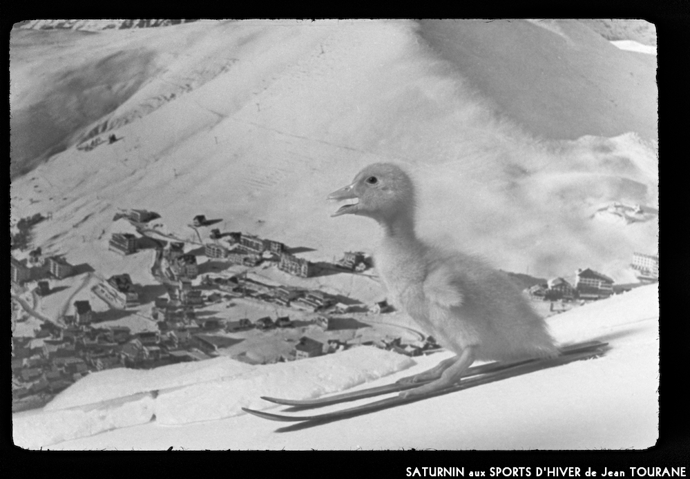 image: This is ‘
saturnin aux sports d’hiver 4
’.