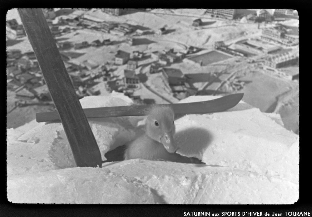 image: This is ‘
saturnin aux sports d’hiver 5
’.