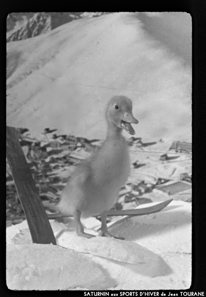 image: This is ‘
saturnin aux sports d’hiver 7
’.