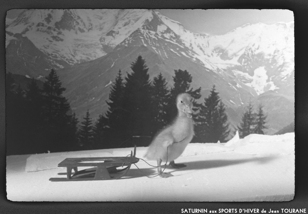 image: This is ‘
saturnin aux sports d’hiver 8
’.