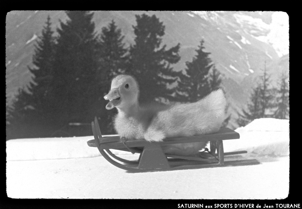 image: This is ‘
saturnin aux sports d’hiver 9
’.